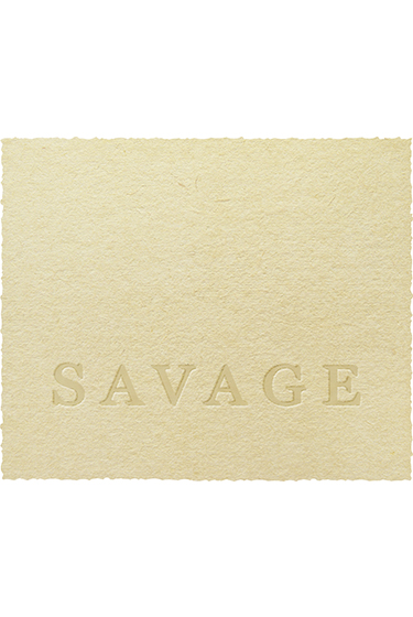 No vintage Savage Red Front Label